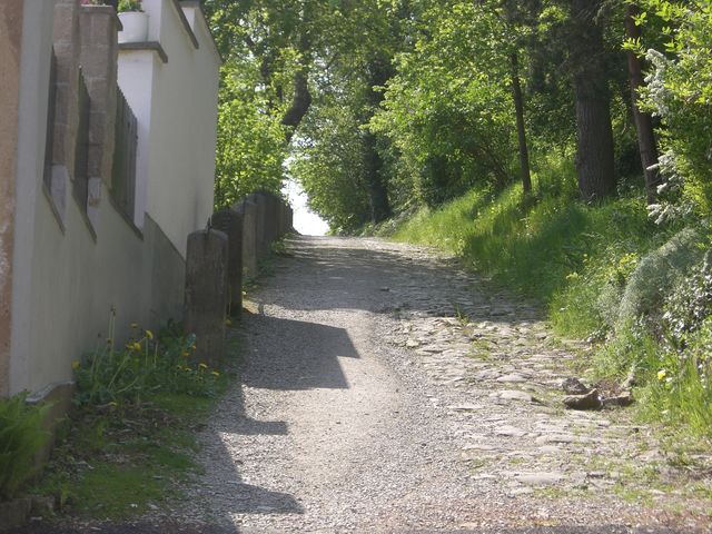 CIMG2622 [640x480]